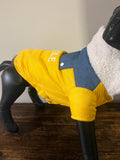Parka amarilla